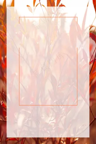 橘红色秋冬服装促销枫叶