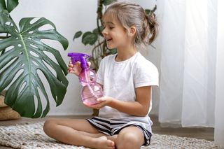 小女孩喷洒室内植物叶子，照顾植物龟背竹。