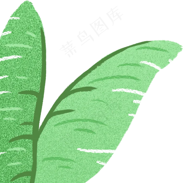 枝叶春季自然植物(2000X2000(DPI:300))psd模版下载