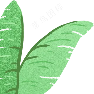 枝叶春季自然植物