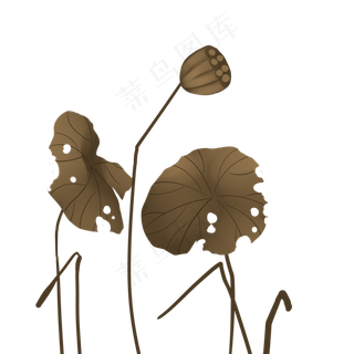 寒露枯荷凋零荷叶