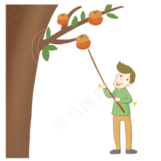 手绘24节气寒露打柿子的男人免