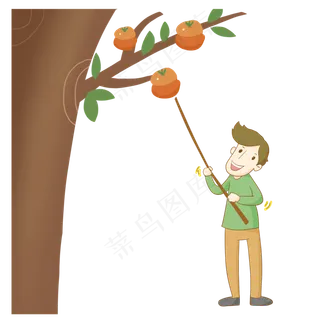 手绘24节气寒露打柿子的男人免