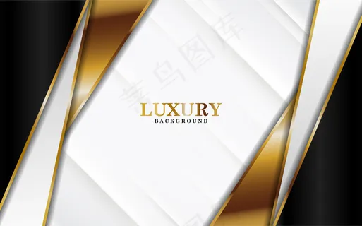 奢华的黑白背景，抽象的金色线条