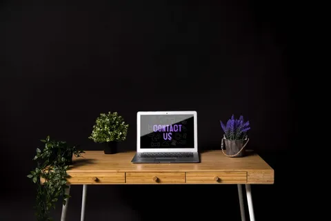 带植物的现代办公桌概念