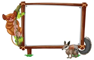 白色背景上带有慢懒猴和松鼠的空横幅banner