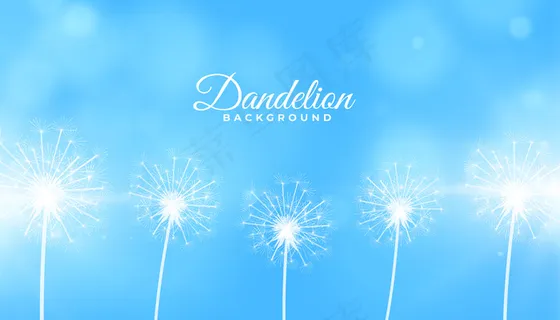 蓝色背景上的蒲公英花种子