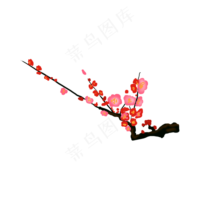 一枝梅花手绘插画