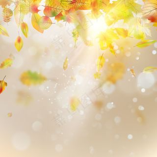 秋季抽象背景。光滑的阳光模版。