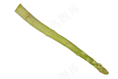 新鲜芦笋