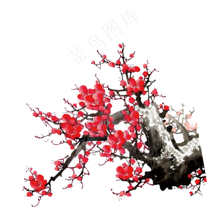 红色的梅花免抠图