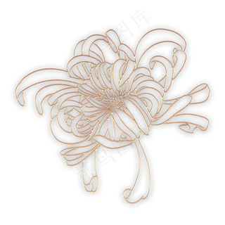 中秋节立体金边菊花