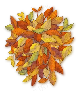 中秋节重阳节落叶成堆手绘