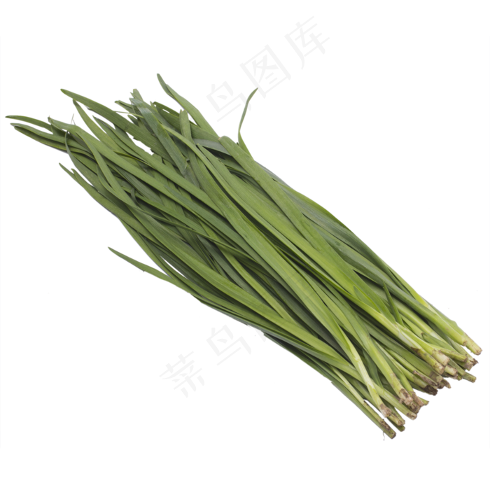 一把韭菜绿色蔬菜实拍