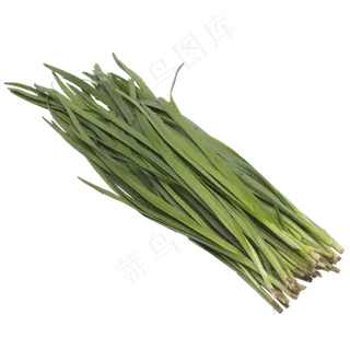 一把韭菜绿色蔬菜实拍