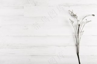 白色木质背景的花朵