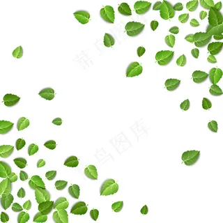 孤立在白色背景上的绿茶叶框架形状