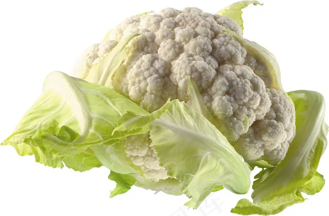 花菜 花椰菜 蔬菜psd模版下载