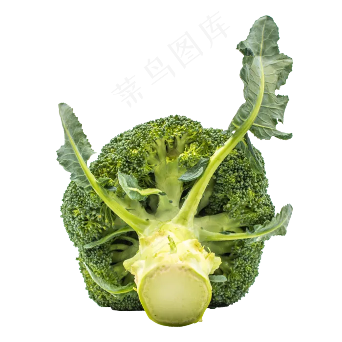 绿色花椰菜蔬菜(3000*3000px 300 dpi )