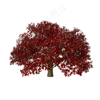 仿真红叶枫树