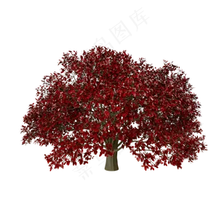仿真红叶枫树