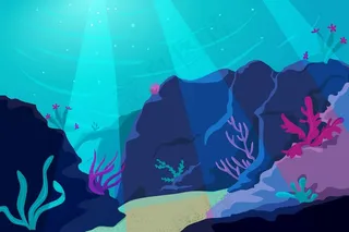 珊瑚山的背景为在线视频会议