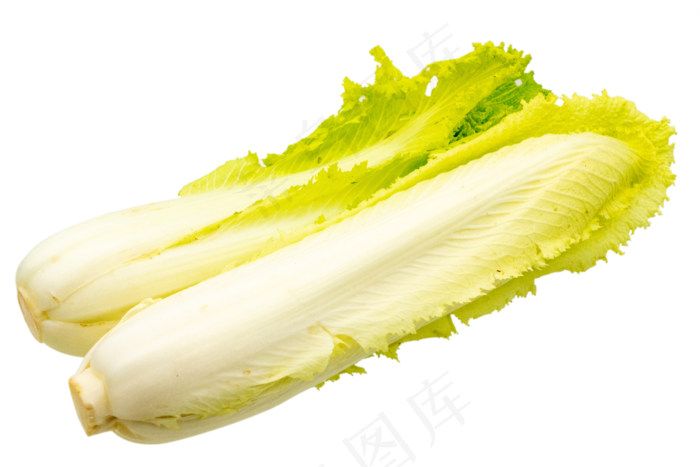 素食白菜