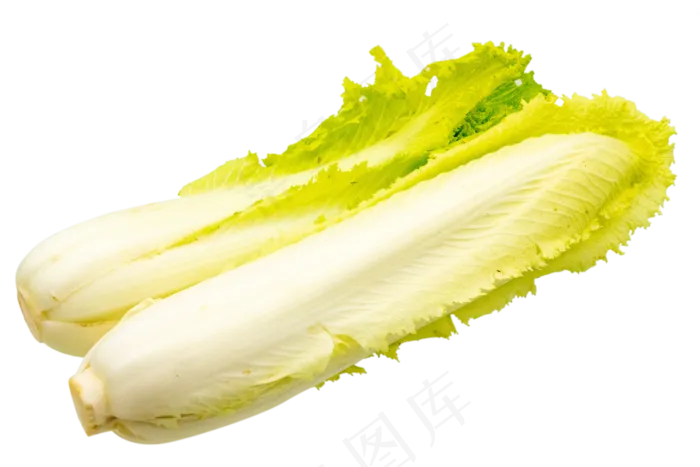 素食白菜(3000*2000px 300 dpi )