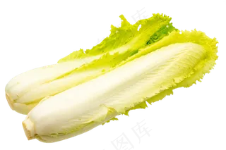 素食白菜