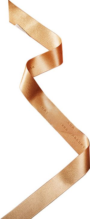 礼盒 彩带 飘带图片 蝴蝶结 礼结