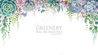 肉质框架，白底边框。所有元素都是独立的，可以编辑。