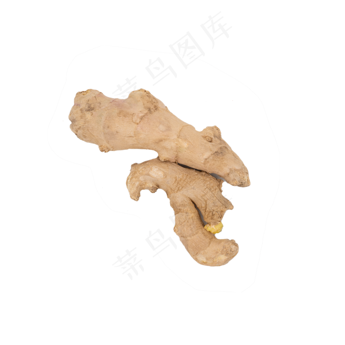 老姜蔬菜调料配料摄影实物(2000X2000(DPI:300))
