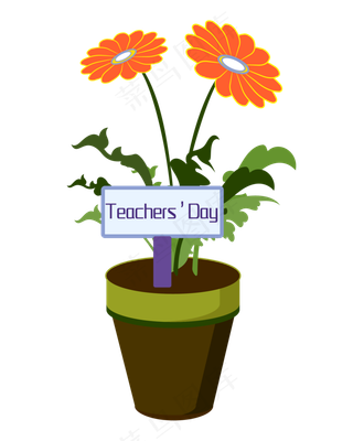 教师节花朵盆栽