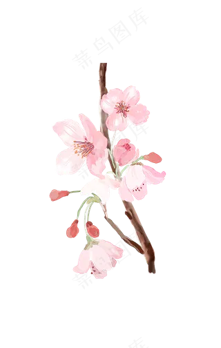 中国风古风手绘水彩梅花