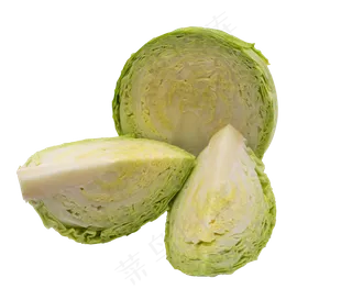 绿色蔬菜茴子白