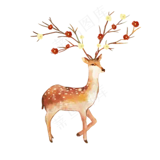 秋天动物梅花鹿素材