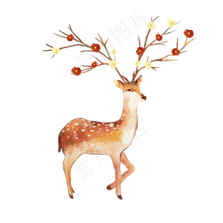 秋天动物梅花鹿素材