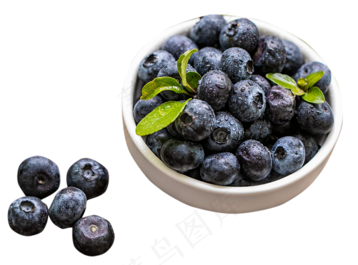 蓝莓水果