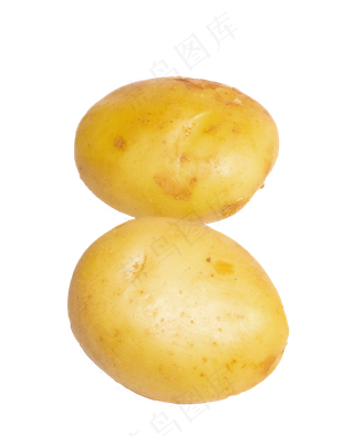 两个蔬菜土豆