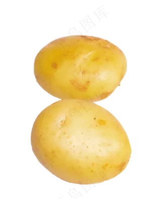 两个蔬菜土豆