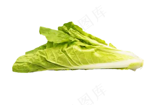 生菜绿色蔬菜