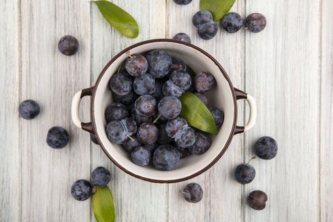 一个碗上的酸酸蓝黑色小泥鳅的俯视图，在灰色的木质背景上孤立的树懒