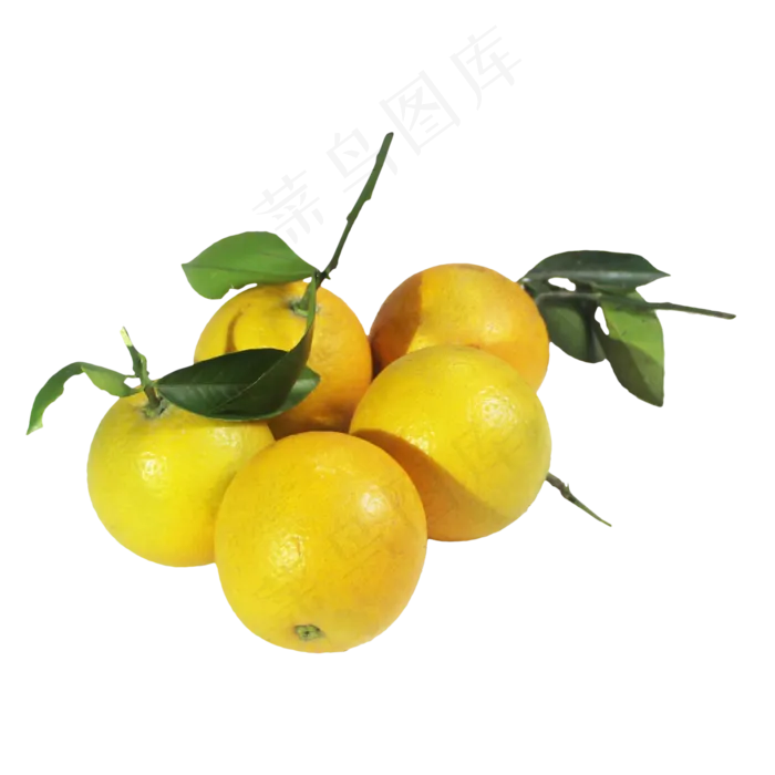 夏日水果橙子(2000X2000(DPI:96))