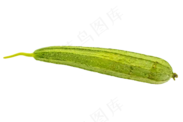 绿色蔬菜丝瓜(3000*2000px 300 dpi )