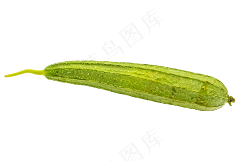 绿色蔬菜丝瓜