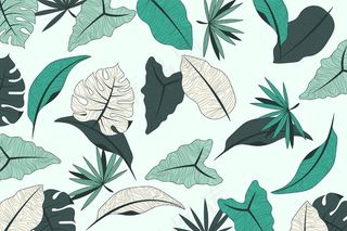 热带树叶设计与柔和的背景