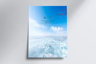 原创简约大寒二十四节气海报