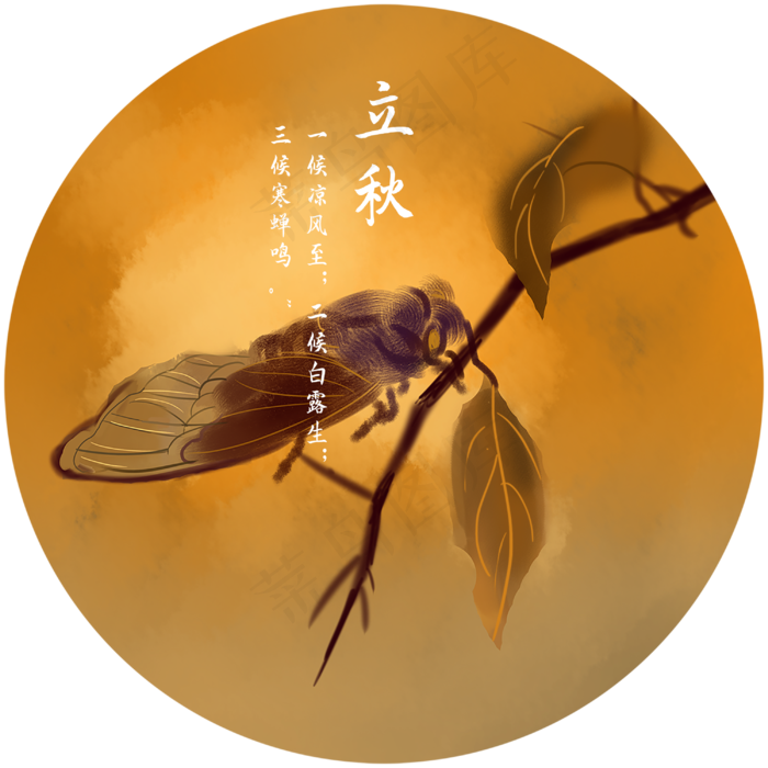 二十四节气立秋寒蝉免扣素材