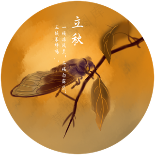 二十四节气立秋寒蝉免扣素材