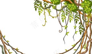 构架藤本植物的枝条和热带叶子。